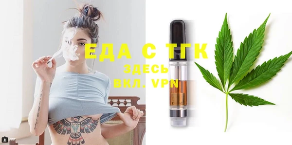 гидра Богородск