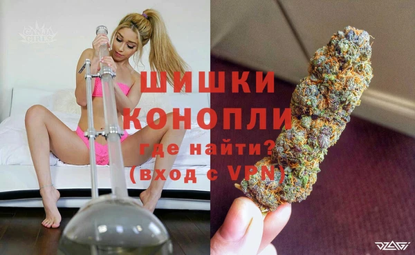 гидра Богородск