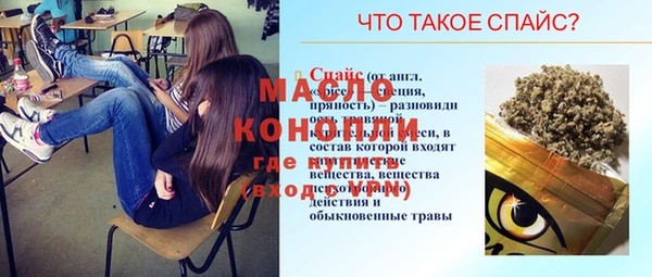 гидра Богородск