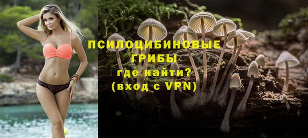 спиды Белокуриха