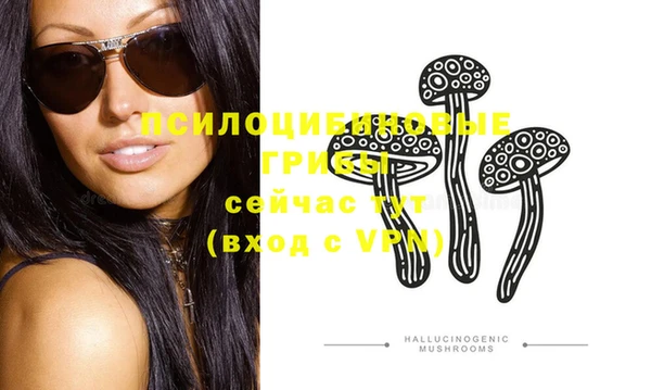 мяу мяу мука Беломорск