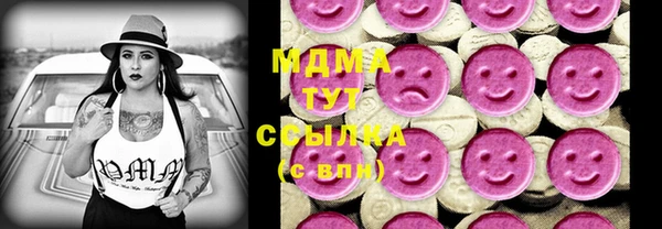 гидра Богородск
