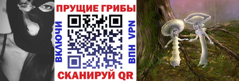 Псилоцибиновые грибы Psilocybine cubensis  где найти наркотики  Бийск 